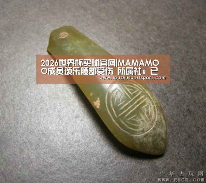 2026世界杯买球官网|MAMAMOO成员颂乐腰部受伤 所属社：已经接受治疗