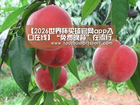 【2026世界杯买球官网app入口在线】“免费晚餐”在流行